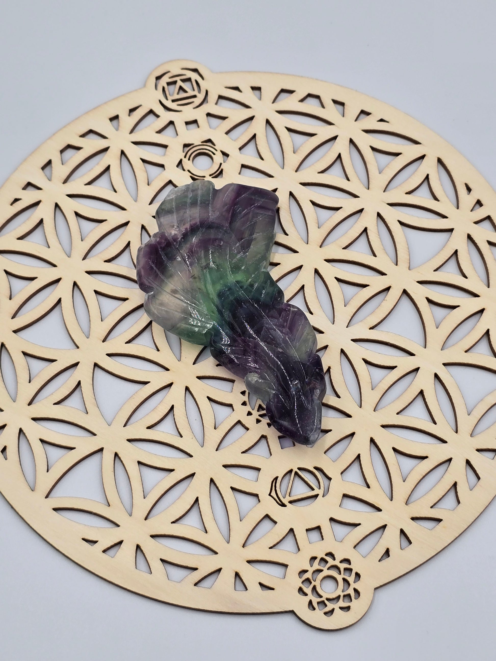 Plume en Fluorite Rainbow - Qualité Extra 90-110 mm