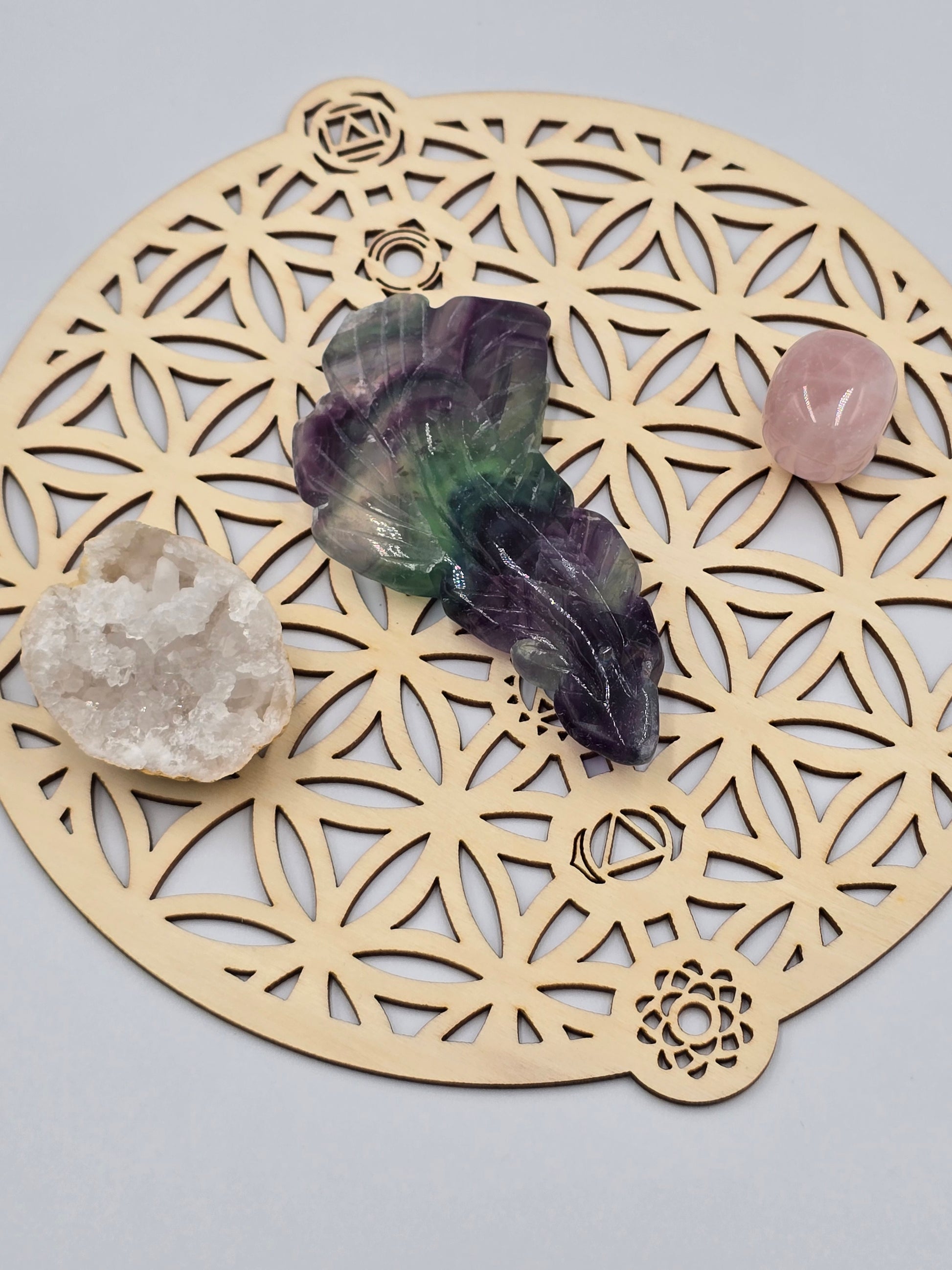 Plume en Fluorite Rainbow - Qualité Extra 90-110 mm