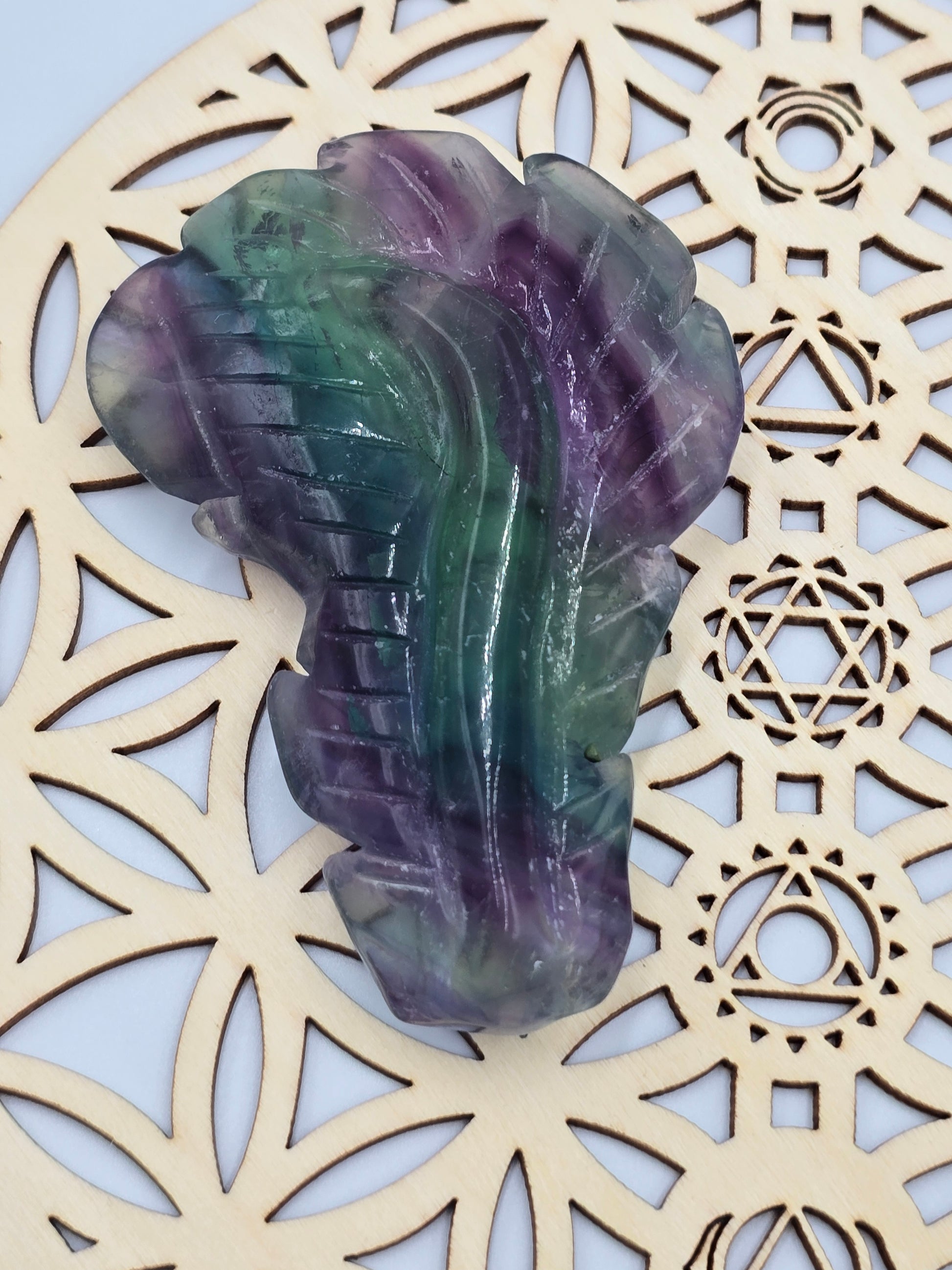 Plume en Fluorite Rainbow - Qualité Extra 90-110 mm