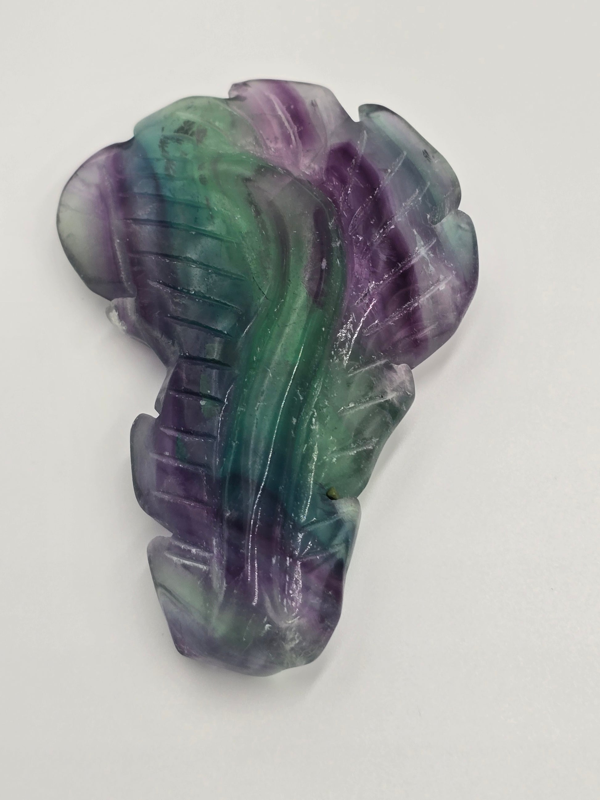 Plume en Fluorite Rainbow - Qualité Extra 90-110 mm