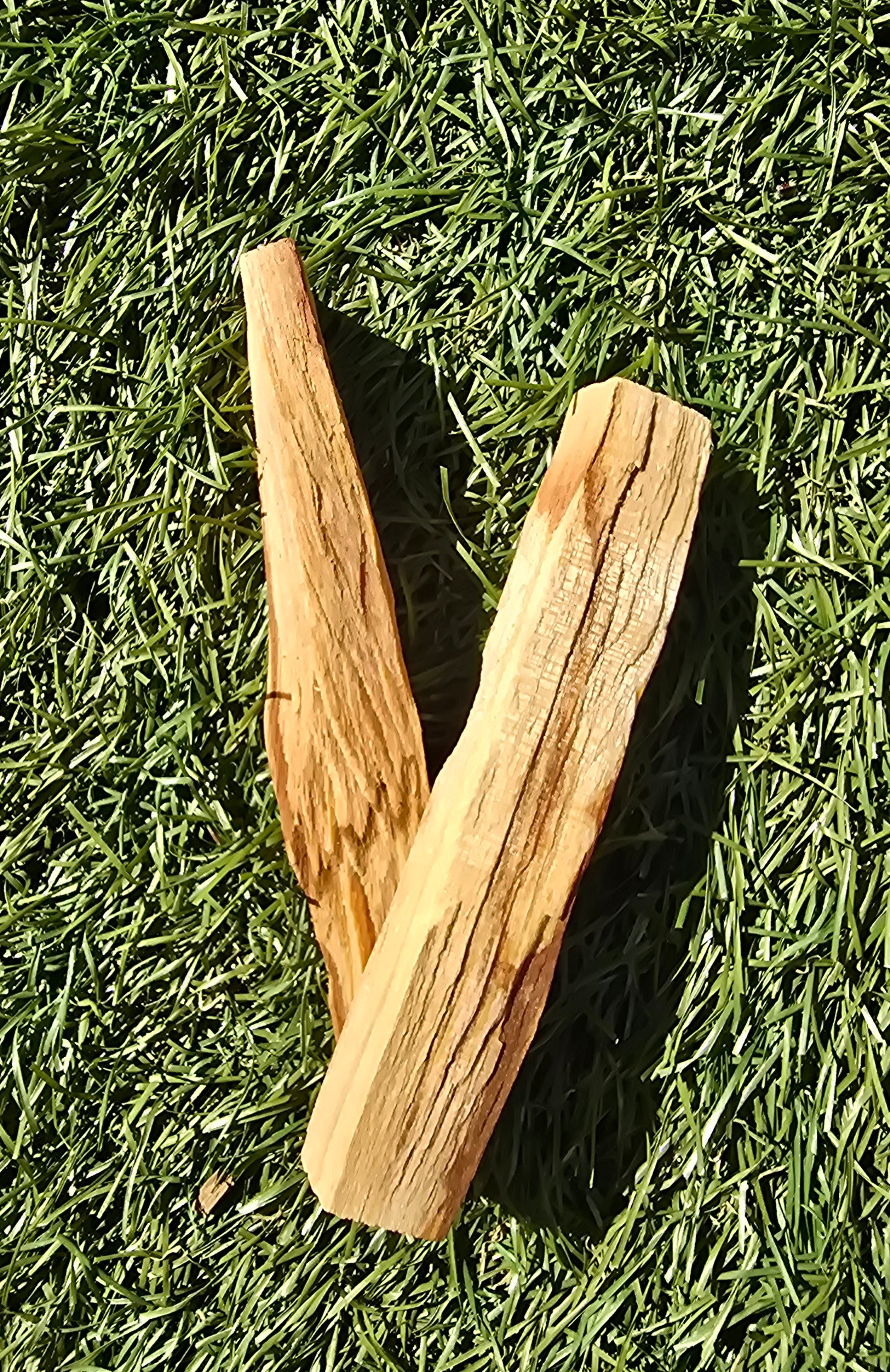 Palo Santo
