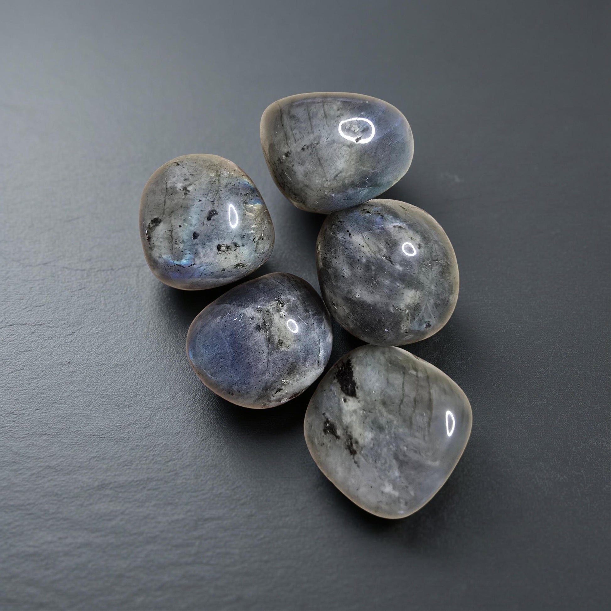 Pierre Labradorite Qualité Extra | Protection & Intuition