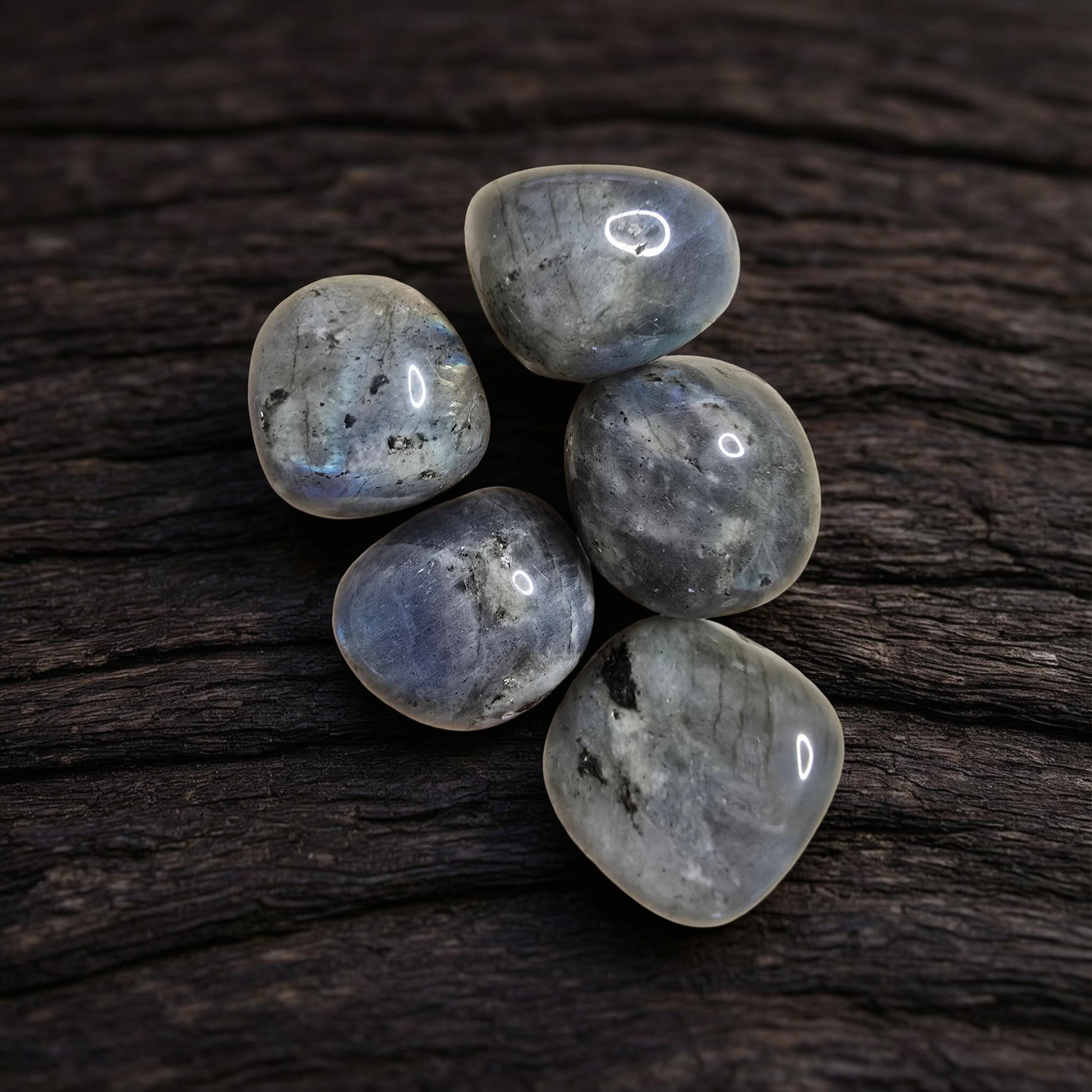 Pierre Labradorite Qualité Extra | Protection & Intuition