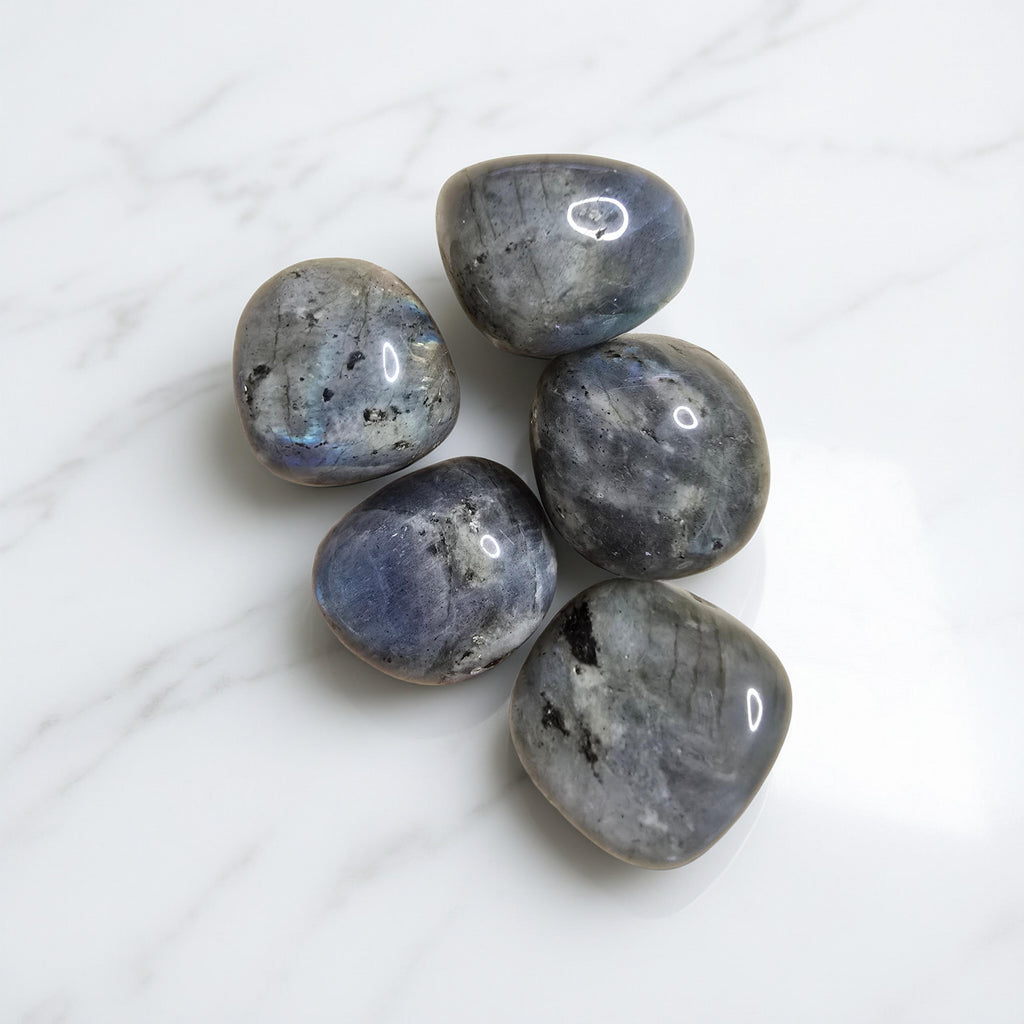 Pierre Labradorite Qualité Extra | Protection & Intuition