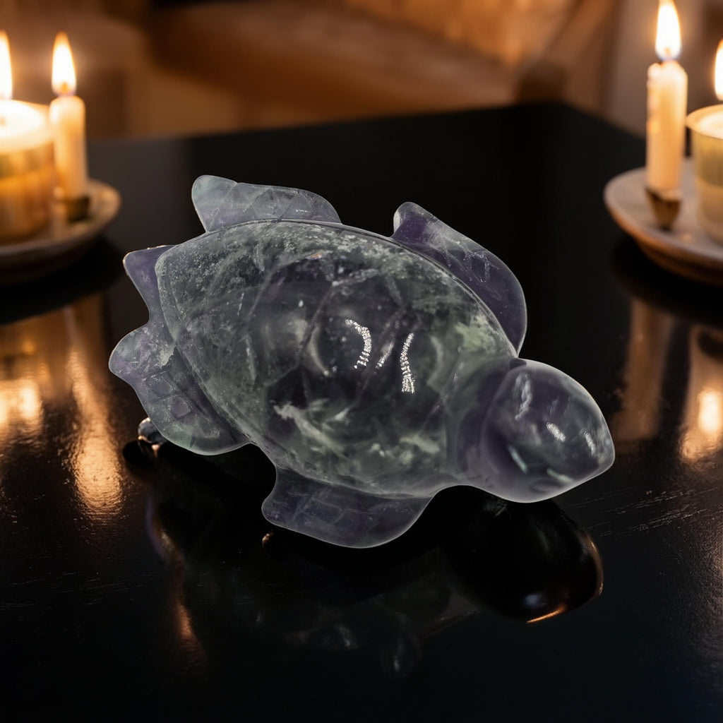 Tortue Fluorine Rainbow 80mm - Qualité Extra - Pièce unique