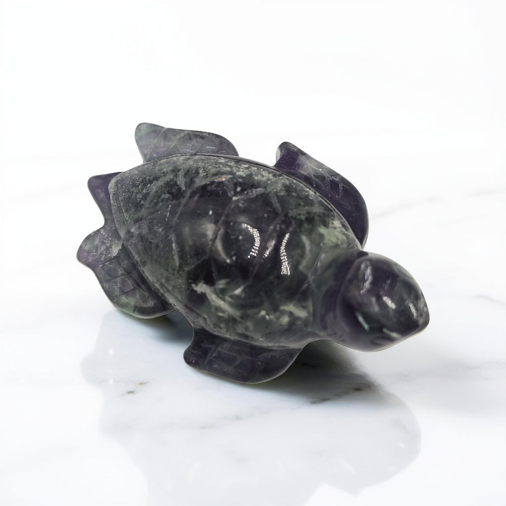 Tortue Fluorine Rainbow 80mm - Qualité Extra - Pièce unique