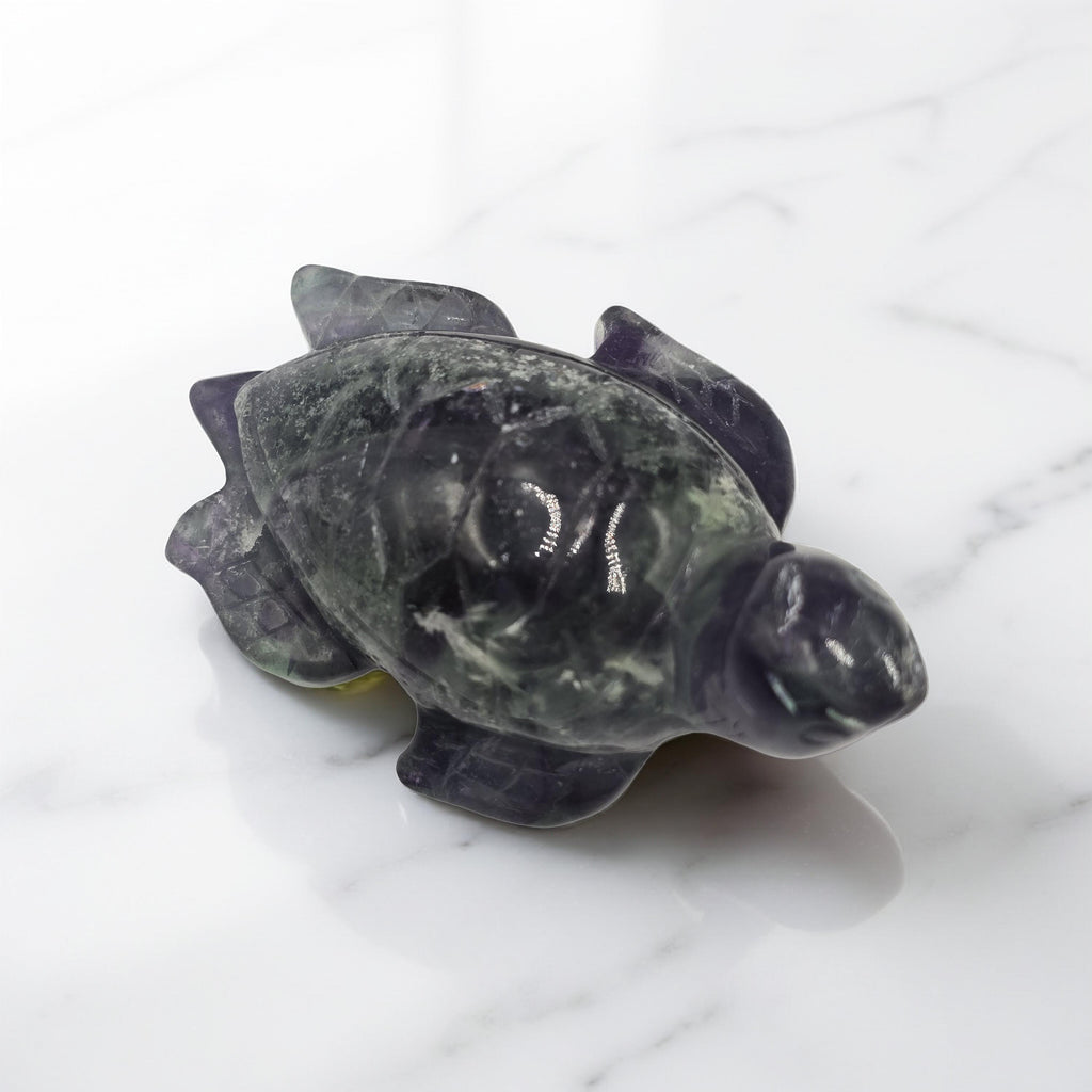 Tortue Fluorine Rainbow 80mm - Qualité Extra - Pièce unique