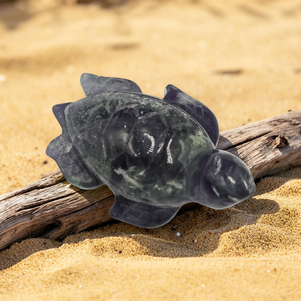 Tortue Fluorine Rainbow 80mm - Qualité Extra - Pièce unique