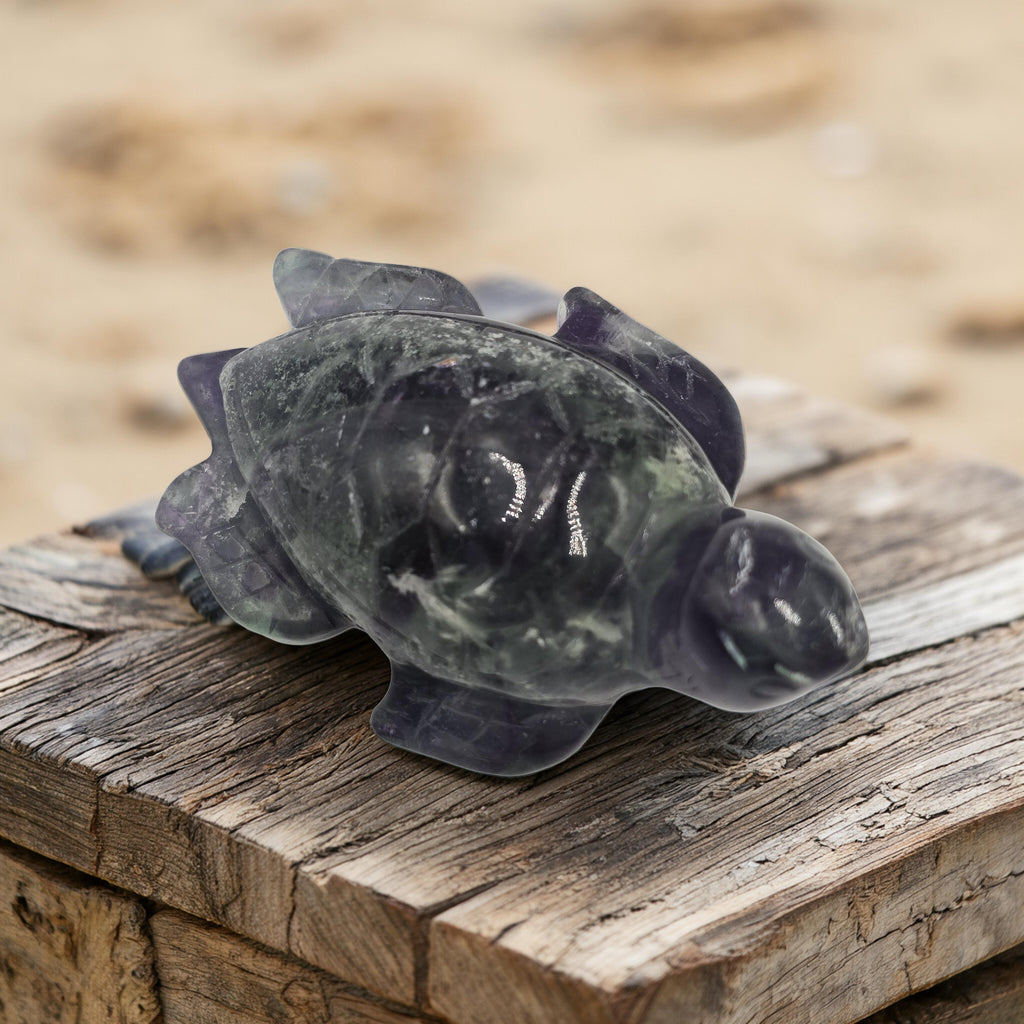 Tortue Fluorine Rainbow 80mm - Qualité Extra - Pièce unique