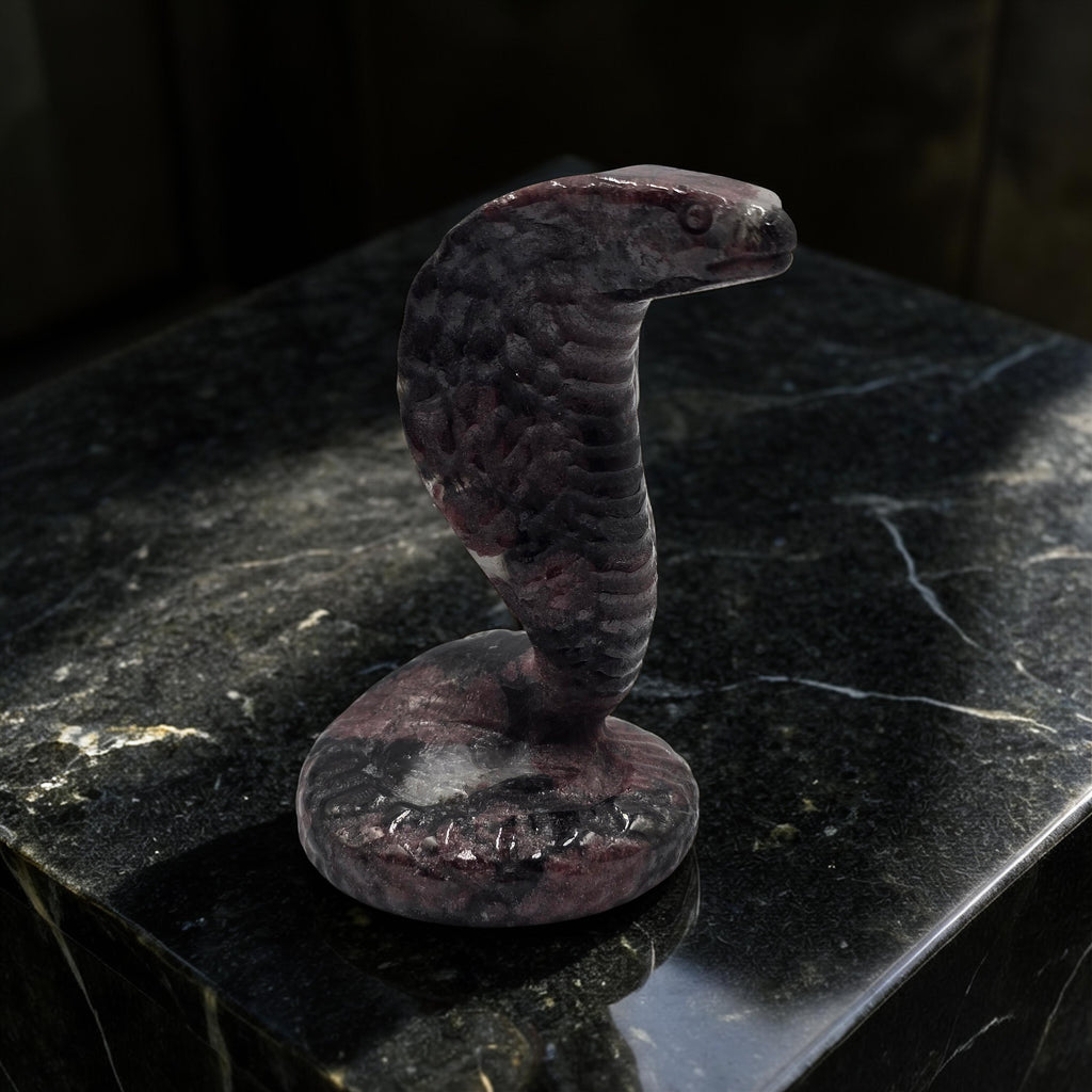 Cobra Grenat Rouge sur Astrophyllite 110mm - Pièce Rare