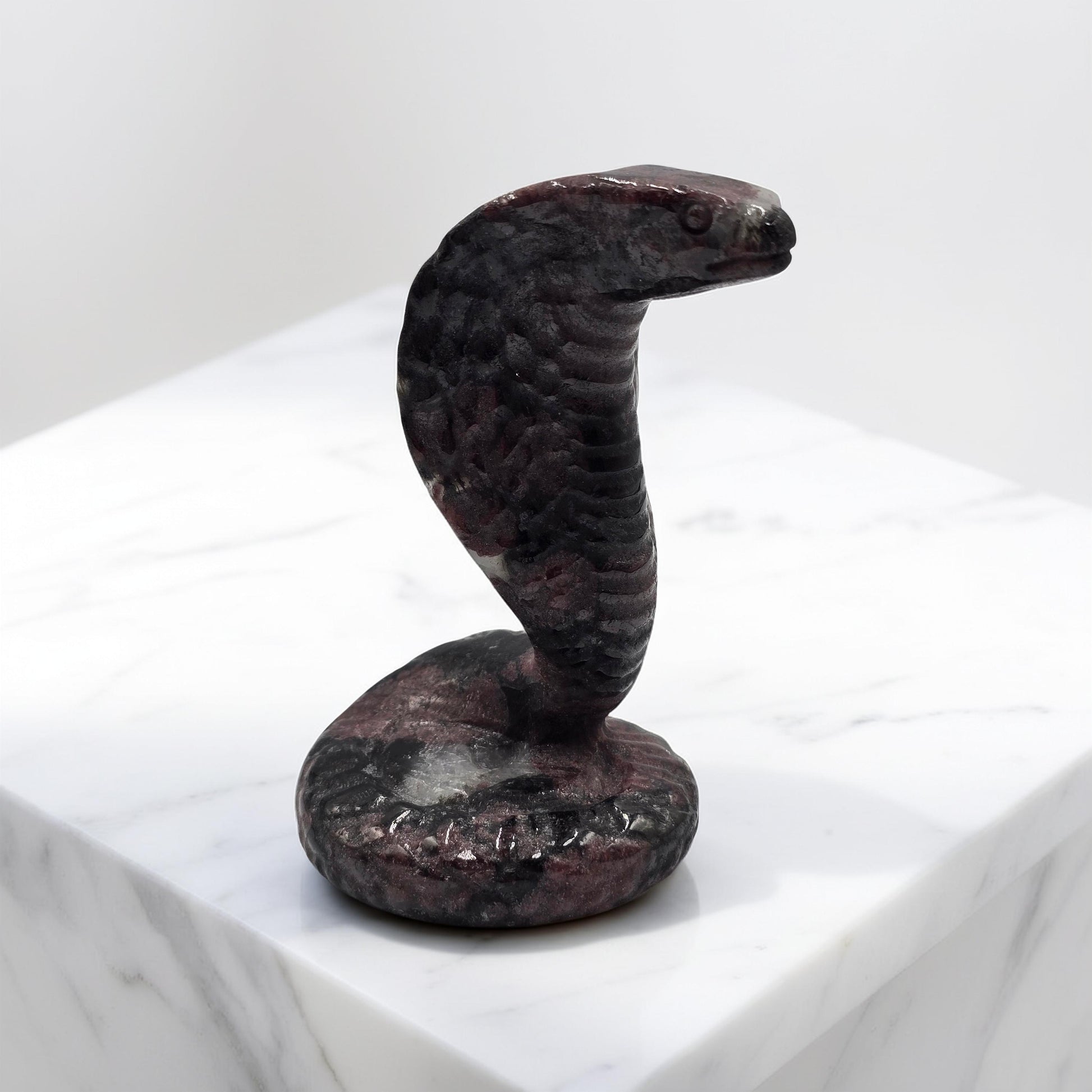 Cobra Grenat Rouge sur Astrophyllite 110mm - Pièce Rare