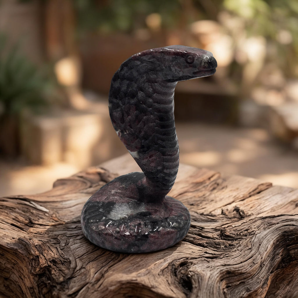 Cobra Grenat Rouge sur Astrophyllite 110mm - Pièce Rare