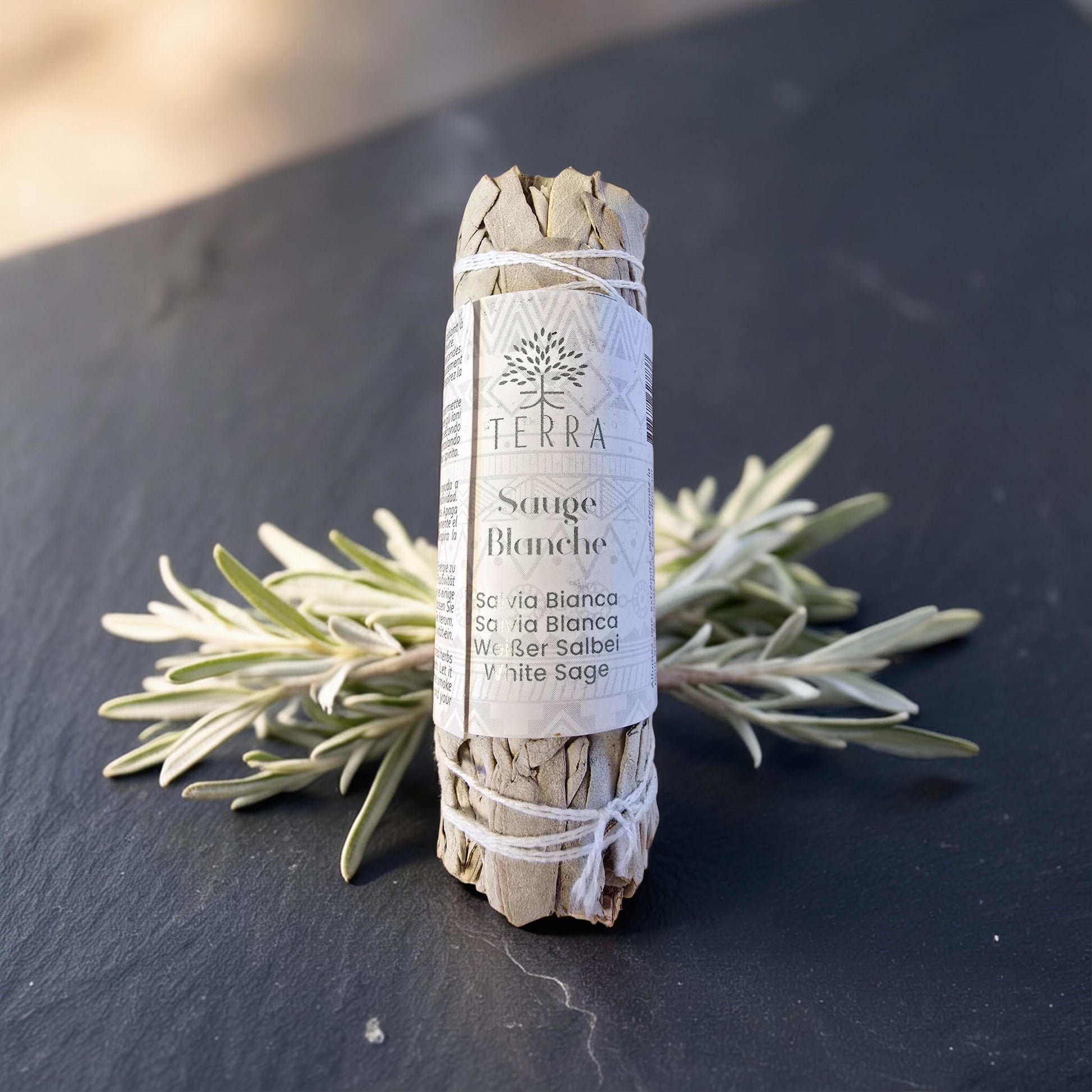 Sauge Naturelle Terra